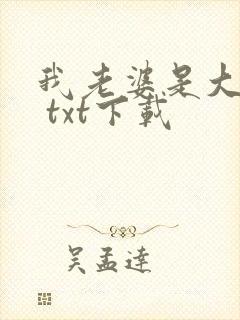 我老婆是大明星 txt下载