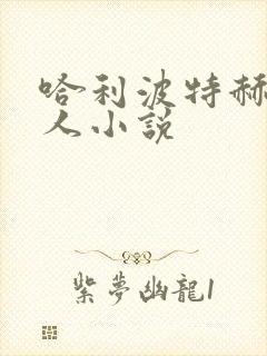 哈利波特赫敏同人小说封面