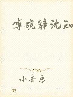 傅砚辞沈知意