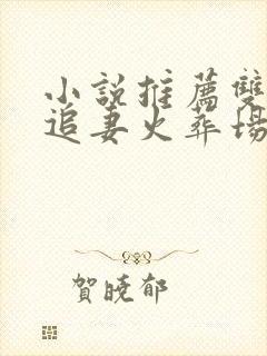 小说推荐双男主追妻火葬场