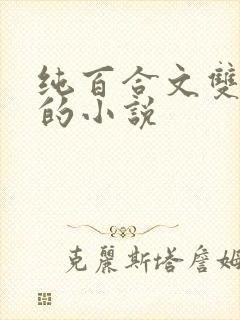 纯百合文双女主的小说封面