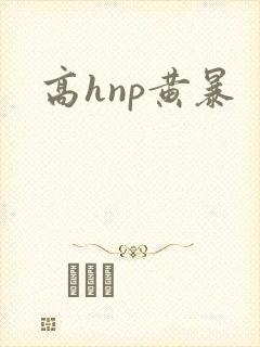 高hnp黄暴