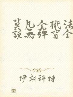 莫凡全职法师小说无弹窗全文阅读封面