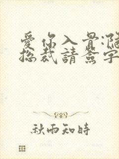 爱你入骨:隐婚总裁请签字