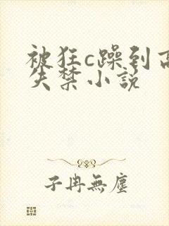 被狂c躁到高潮失禁小说