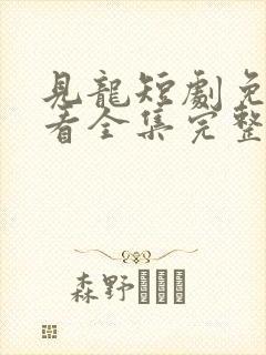 见龙短剧免费观看全集完整版高清封面