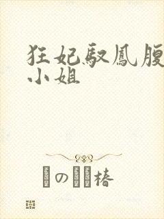 狂妃驭凤腹黑九小姐