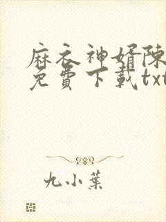 麻衣神婿陈黄皮免费下载txt封面