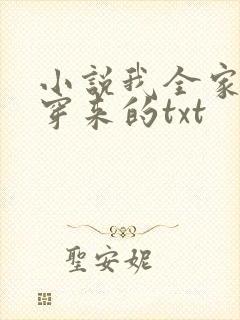 小说我全家都是穿来的txt