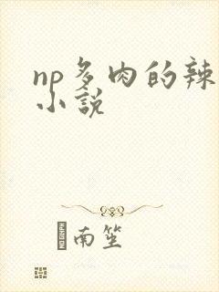 np多肉的辣文小说