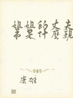 姐姐的丈夫和弟弟是什么亲属关系
