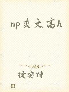 np爽文高h封面