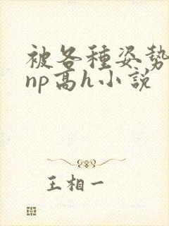 被各种姿势玩弄np高h小说