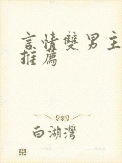 言情双男主小说推荐封面