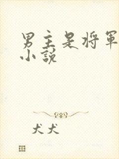 男主是将军古言小说