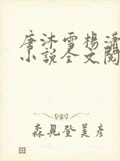 唐沐雪杨潇免费小说全文阅读