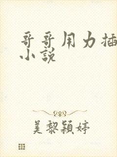 哥哥用力插进去小说