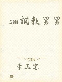 sm调教男男h