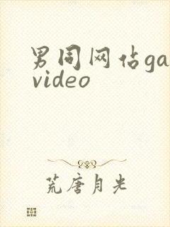 男同网站gay video封面