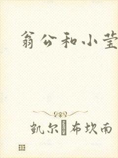 翁公和小莹