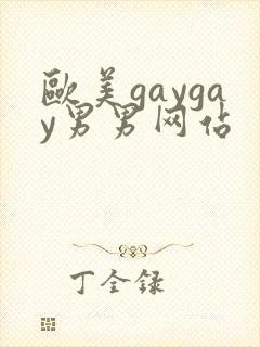 欧美gaygay男男网站封面