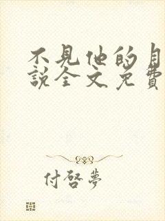 不见他的月光小说全文免费阅读
