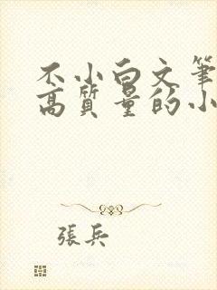 不小白文笔好的高质量的小说