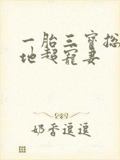 一胎三宝总裁爹地超宠妻