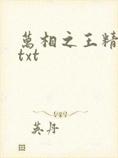 万相之王精校版txt