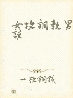 女攻调教男受小说