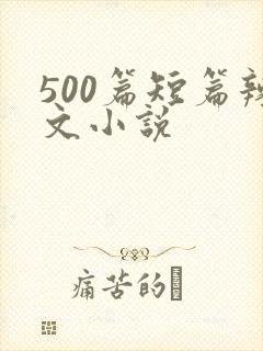 500篇短篇辣文小说封面