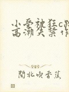 小受被狂c躁到高潮失禁作文