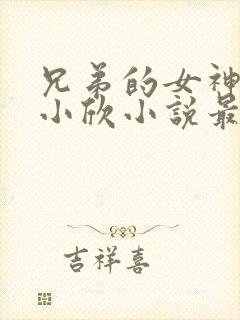 兄弟的女神女友小欣小说最新章节更