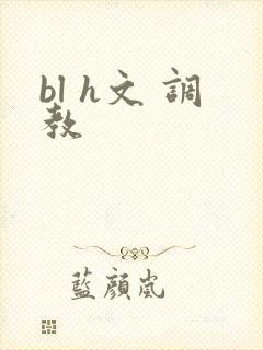 bl h文 调教封面