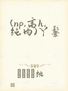 (np,高h,纯肉)丫鬟