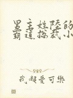 男主姓陆的全部霸道总裁小说