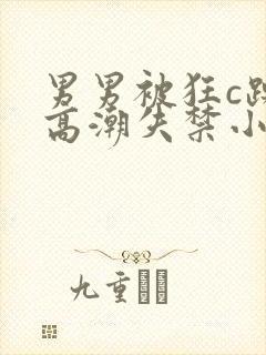 男男被狂c躁到高潮失禁小说
