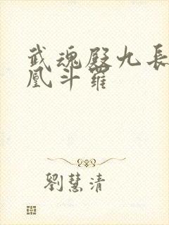 武魂殿九长老霓凰斗罗