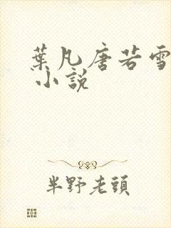 叶凡唐若雪医婿 小说封面