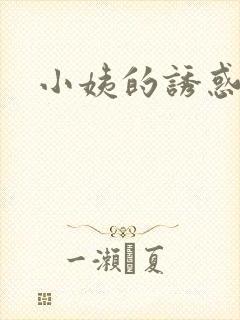 小姨的诱惑小说封面