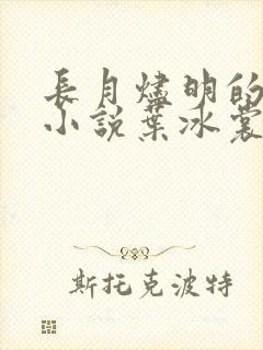 长月烬明的原著小说叶冰裳封面