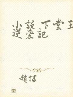 小说 下堂王妃逆袭记