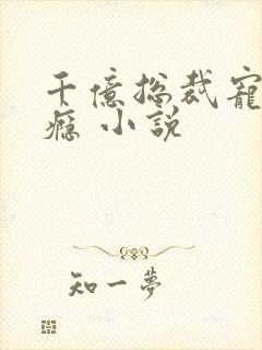 千亿总裁宠妻成瘾 小说