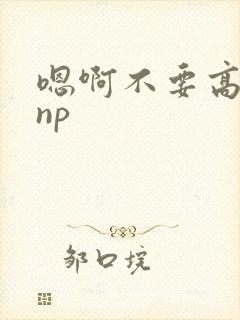 嗯啊不要高h np
