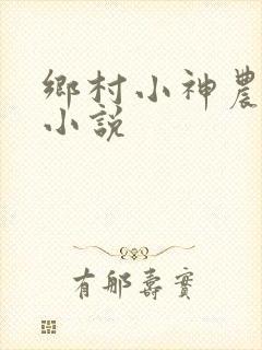 乡村小神农陆凡小说