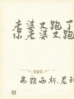 老婆又跑了少帅你老婆又跑了