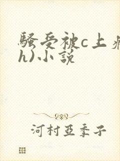 骚受被c上瘾(h)小说