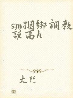sm捆绑调教小说高h