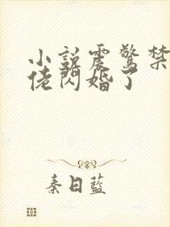 小说震惊禁欲大佬闪婚了