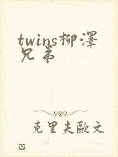twins柳泽兄弟